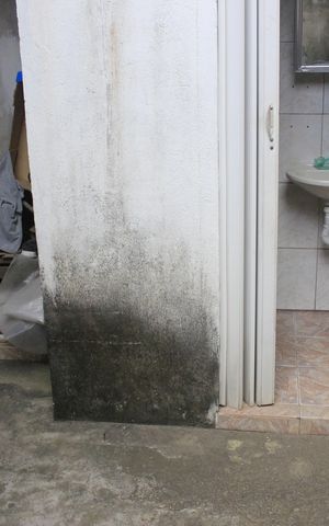 Casa para alugar com 70m², 2 quartos e 1 vagaLavanderia