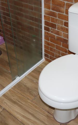 Apartamento para alugar com 56m², 2 quartos e sem vagaBanheiro