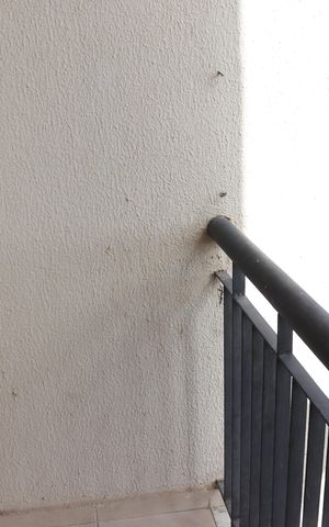 Apartamento para alugar com 65m², 3 quartos e 2 vagasSacada