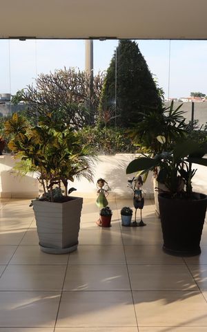 Apartamento para alugar com 54m², 2 quartos e 1 vagaHall do bloco