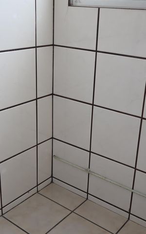 Apartamento para alugar com 54m², 2 quartos e 1 vagaÁrea de Serviço