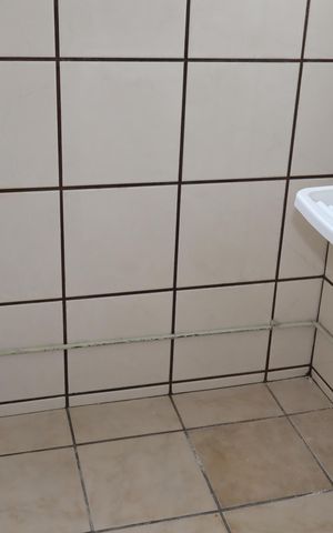 Apartamento para alugar com 54m², 2 quartos e 1 vagaÁrea de Serviço