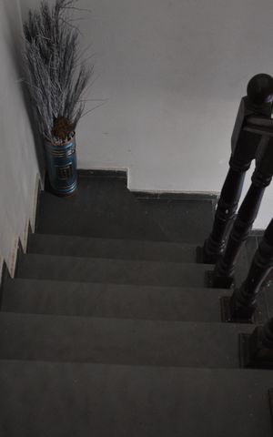 Casa à venda com 364m², 7 quartos e 5 vagasEscada