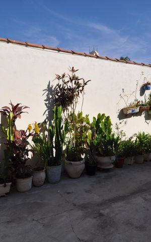 Casa à venda com 364m², 7 quartos e 5 vagasVista do Quarto 2