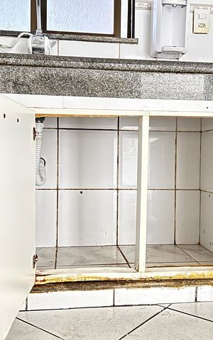 Apartamento para alugar com 60m², 2 quartos e 1 vagaCozinha - Armários