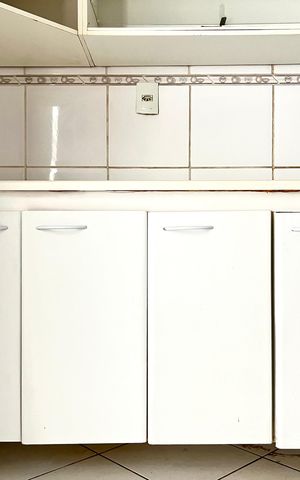 Apartamento para alugar com 60m², 2 quartos e 1 vagaCozinha - Armários
