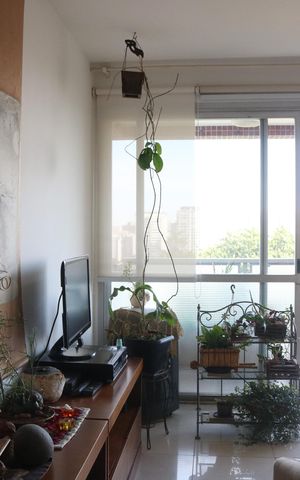 Apartamento à venda com 115m², 3 quartos e 1 vagaSala