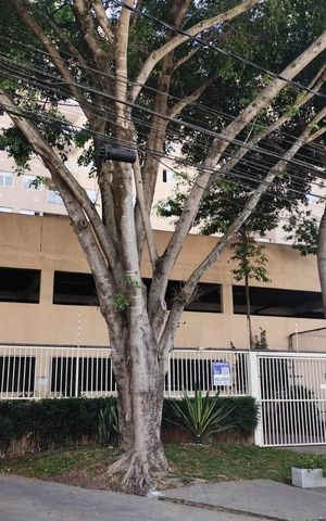 Apartamento para alugar com 50m², 2 quartos e 1 vaga Apartamento para alugar com 50m², 2 quartos e 1 vagaFachada