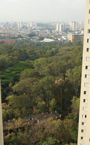 Apartamento para alugar com 93m², 2 quartos e 2 vagasVista do Quarto 1