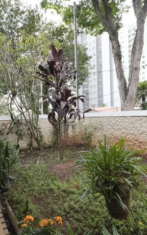 Casa à venda com 296m², 3 quartos e 4 vagasQuintal