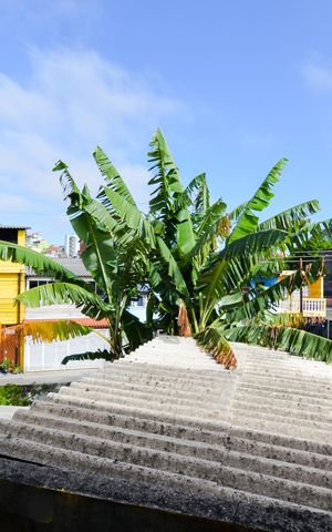 Casa para alugar com 100m², 2 quartos e sem vagaVista da Suíte 