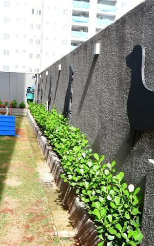 Apartamento para alugar com 60m², 2 quartos e 1 vagaPet Place