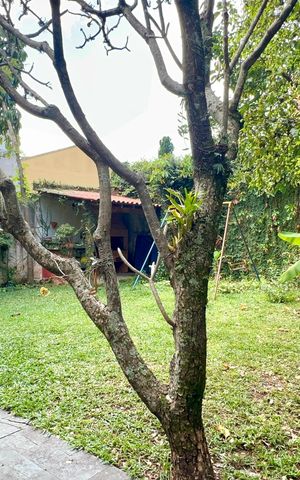 Casa à venda com 280m², 3 quartos e 2 vagas Casa à venda com 280m², 3 quartos e 2 vagasQuintal