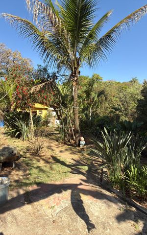 Casa de condomínio à venda com 757m², 8 quartos e 8 vagas Casa de condomínio à venda com 757m², 8 quartos e 8 vagasQuintal