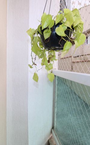 Casa à venda com 90m², 2 quartos e 2 vagasVaranda da sala