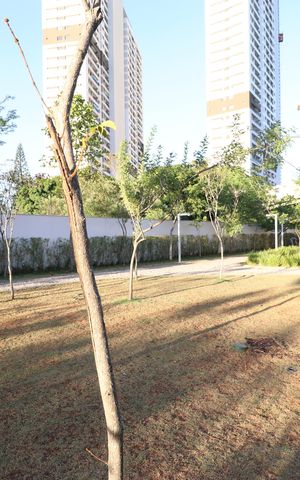 Apartamento à venda com 65m², 2 quartos e 1 vagaÁrea comum 