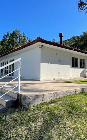 Apartamento para alugar com 54m², 2 quartos e 1 vaga Apartamento para alugar com 54m², 2 quartos e 1 vagaÁrea comum - Salão de festas