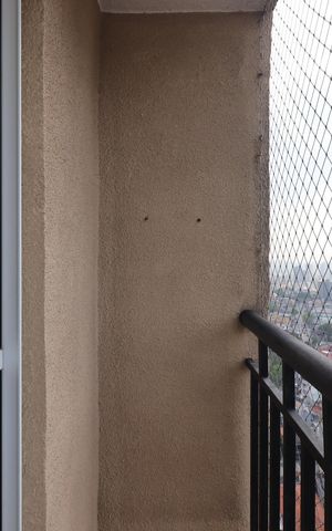 Apartamento para alugar com 50m², 2 quartos e 1 vagaSacada da Sala