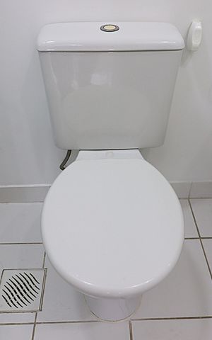 Apartamento para alugar com 67m², 3 quartos e 1 vagaBanheiro da Suíte