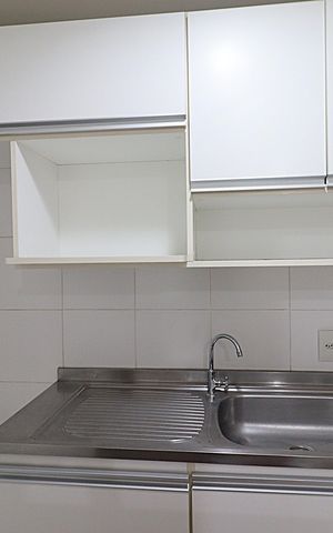 Apartamento para alugar com 67m², 3 quartos e 1 vagaCozinha - Armários