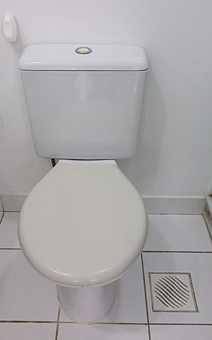 Apartamento para alugar com 67m², 3 quartos e 1 vagaBanheiro Social