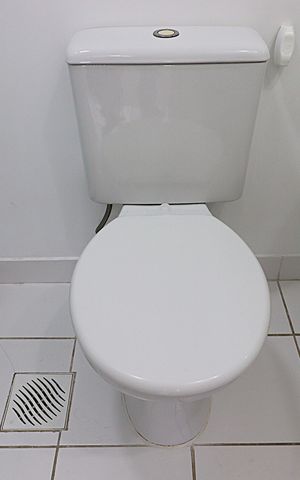 Apartamento para alugar com 67m², 3 quartos e 1 vagaBanheiro da Suíte
