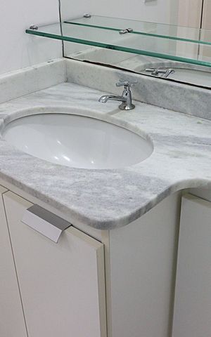 Apartamento para alugar com 67m², 3 quartos e 1 vagaBanheiro Social