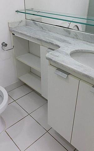 Apartamento para alugar com 67m², 3 quartos e 1 vagaBanheiro da Suíte