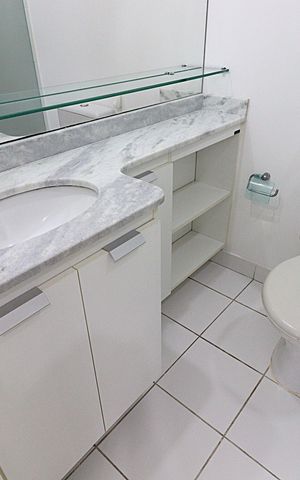 Apartamento para alugar com 67m², 3 quartos e 1 vagaBanheiro Social