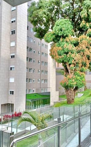 Apartamento à venda com 66m², 2 quartos e 2 vagas Apartamento à venda com 66m², 2 quartos e 2 vagasJardim