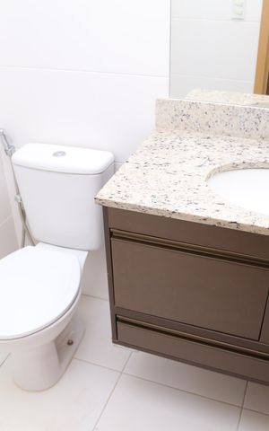 Apartamento para alugar com 56m², 2 quartos e 1 vaga Apartamento para alugar com 56m², 2 quartos e 1 vagaBanheiro da Suíte