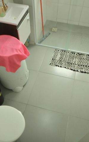 Apartamento à venda com 52m², 2 quartos e 1 vagaBanheiro 