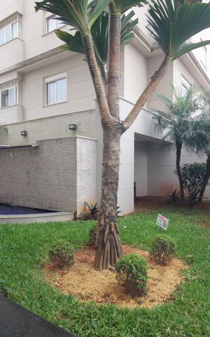 Apartamento à venda com 160m², 4 quartos e 4 vagasÁrea Comum