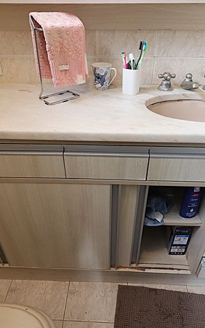 Apartamento à venda com 124m², 3 quartos e 2 vagasBanheiro da Suíte