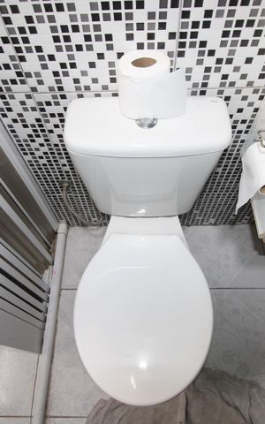 Apartamento para alugar com 50m², 2 quartos e sem vagaBanheiro