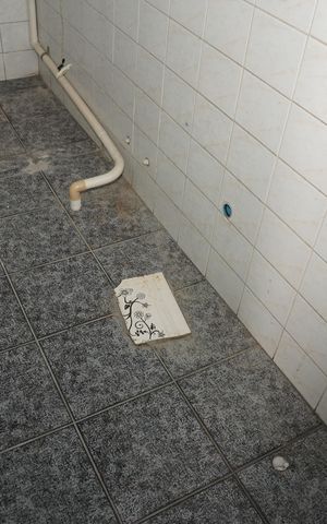 Casa para alugar com 324m², 3 quartos e sem vagaÁrea de serviço
