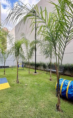 Apartamento para alugar com 35m², 1 quarto e 1 vagaEspaço Pet 