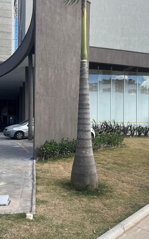 Apartamento para alugar com 47m², 2 quartos e 1 vaga Apartamento para alugar com 47m², 2 quartos e 1 vagaÁrea externa