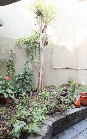 Casa para alugar com 300m², 3 quartos e 2 vagasJardim