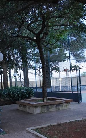 Apartamento para alugar com 54m², 2 quartos e 1 vagaÁrea comum - Quadras Poliesportivas