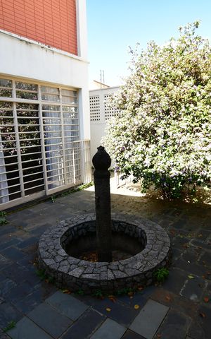 Casa à venda com 338m², 3 quartos e 2 vagasQuintal