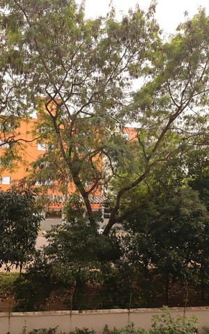 Apartamento para alugar com 36m², 2 quartos e sem vagaVista da Sala