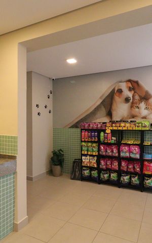 Apartamento para alugar com 35m², 2 quartos e sem vagaÁrea comum - Pet