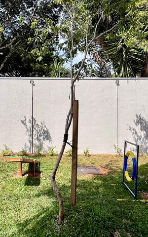 Studio para alugar com 28m², 1 quarto e sem vaga Studio para alugar com 28m², 1 quarto e sem vagaPetplace