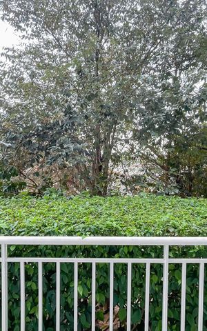 Apartamento à venda com 50m², 2 quartos e 1 vaga Apartamento à venda com 50m², 2 quartos e 1 vagaVista