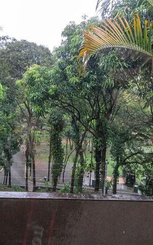 Casa para alugar com 400m², 3 quartos e 5 vagasQuarto 2 - vista