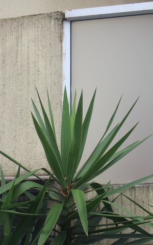 Casa para alugar com 100m², 3 quartos e sem vagaPlaca