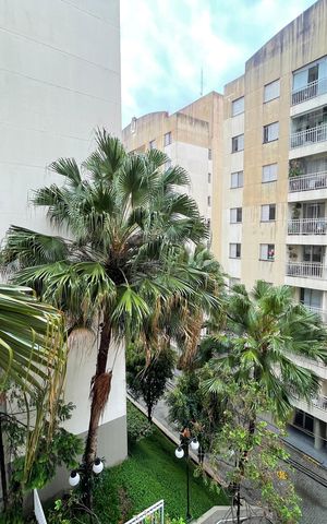 Apartamento para alugar com 64m², 3 quartos e 1 vaga Apartamento para alugar com 64m², 3 quartos e 1 vagaVista do Quarto 2