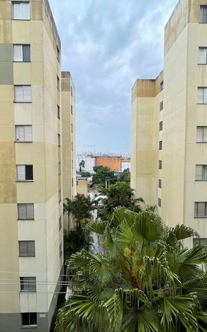 Apartamento para alugar com 64m², 3 quartos e 1 vaga Apartamento para alugar com 64m², 3 quartos e 1 vagaVista do Quarto 3