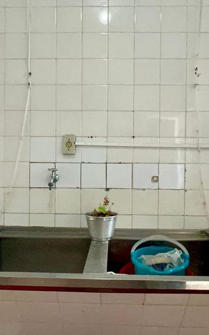 Casa para alugar com 170m², 3 quartos e 5 vagas Casa para alugar com 170m², 3 quartos e 5 vagasLavanderia